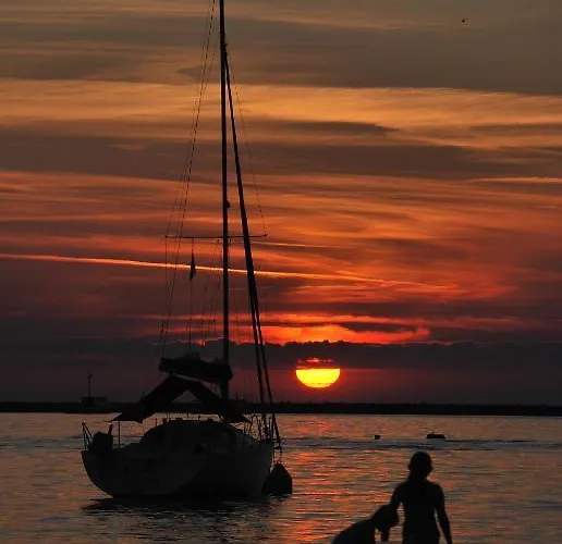 Apartman Filip & Tara *