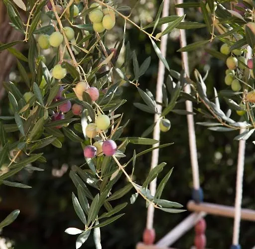 Filip & Tara Apartman *