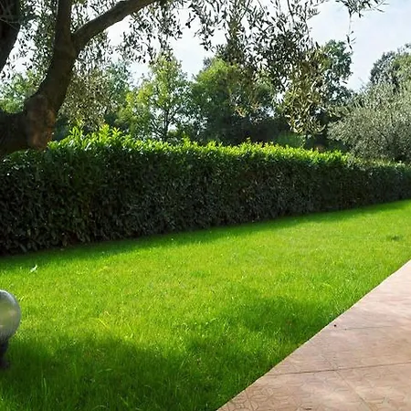 Апартаменти Filip & Tara *