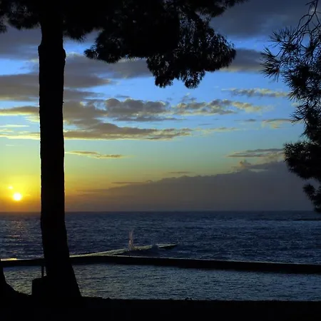 Filip & Tara アパート