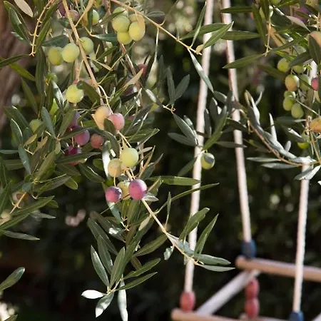 Filip & Tara Apartman *