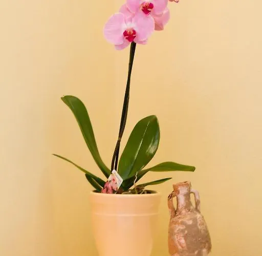 Filip & Tara Lejlighed Poreč